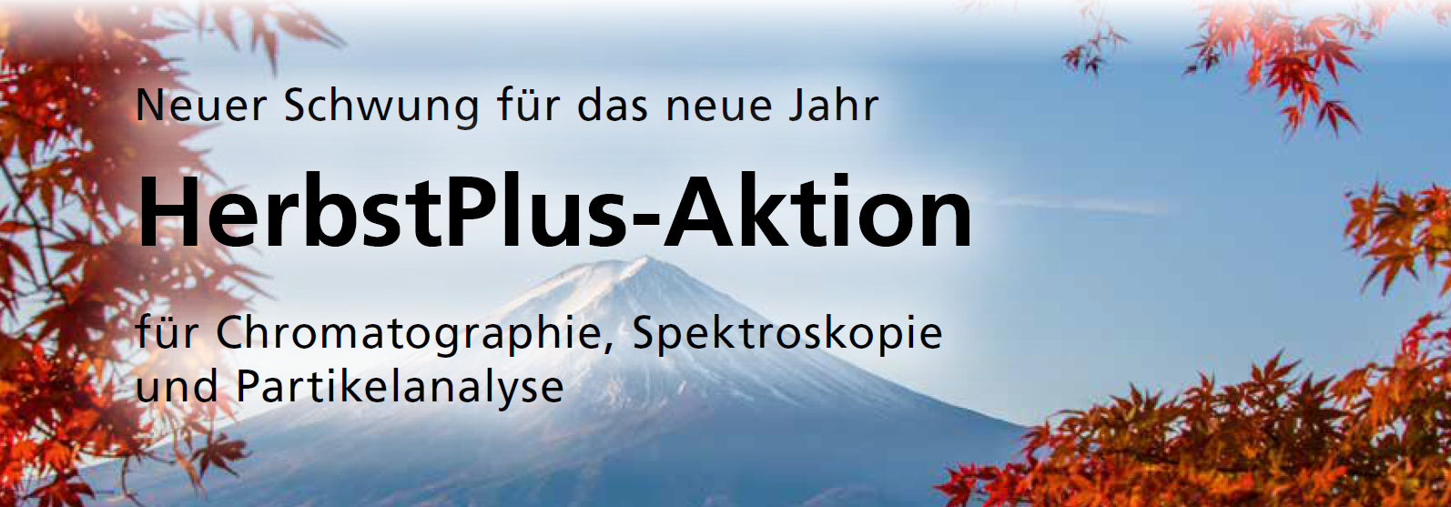 Header der Preisaktion mit Herbstmotiv